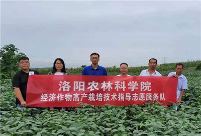 洛阳农林科学院:科技强农,为民服务到地头