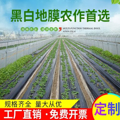 黑白地膜作物保温膜家用农产品防水膜塑料薄膜大棚蔬菜种植保护膜